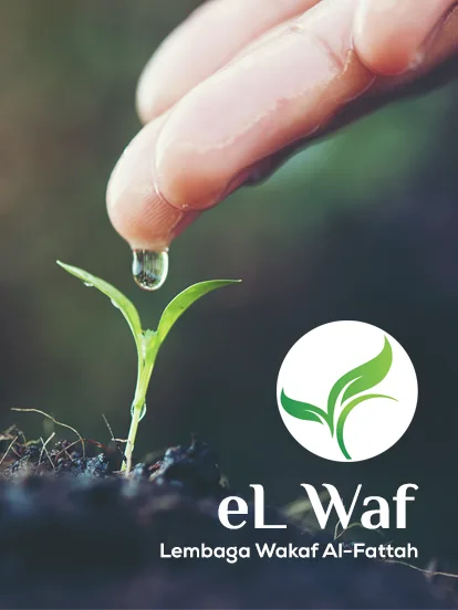 elwaf-identity